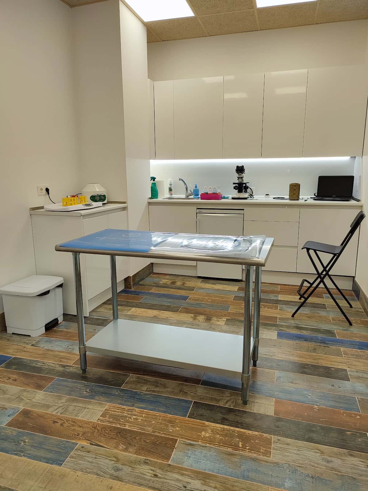 Consultorio Veterinario El Plantío