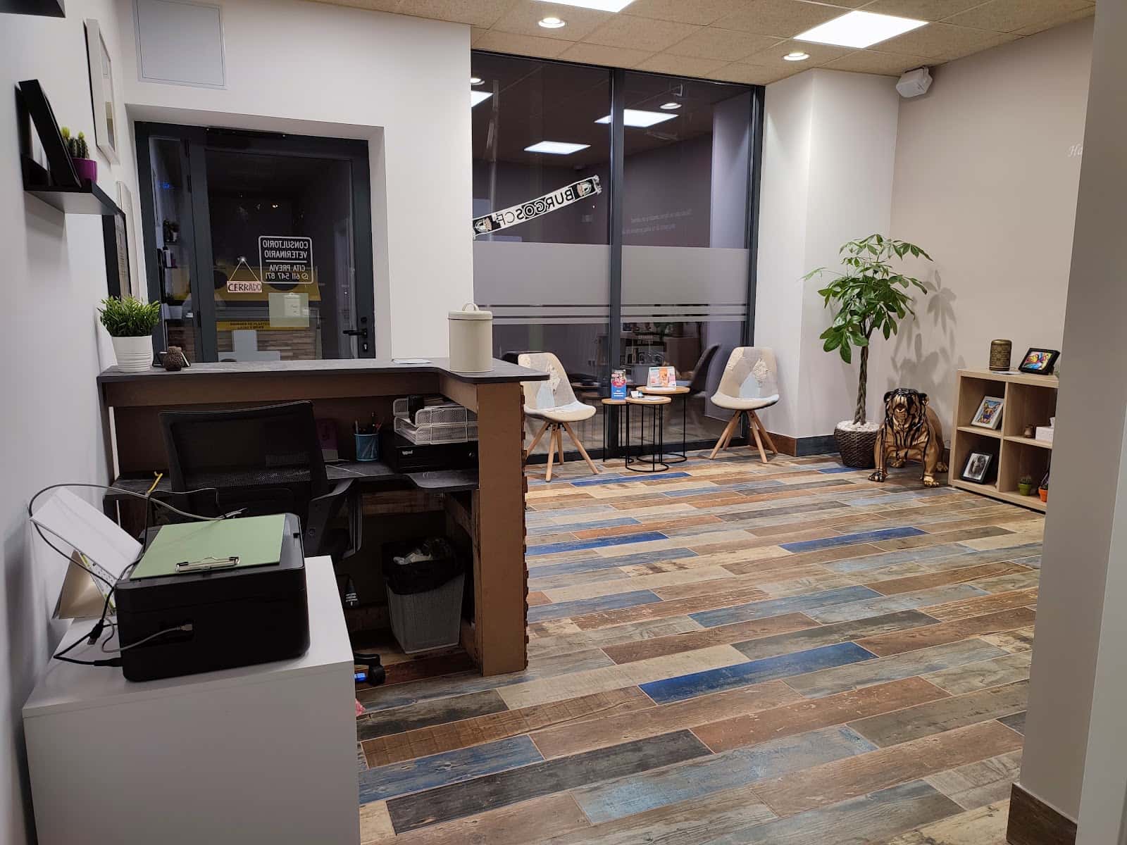 consultorio veterinario el plantio veterinario centro barrio burgos en burgos en burgos principalImage ADOPTA Sitios Pet Friendly