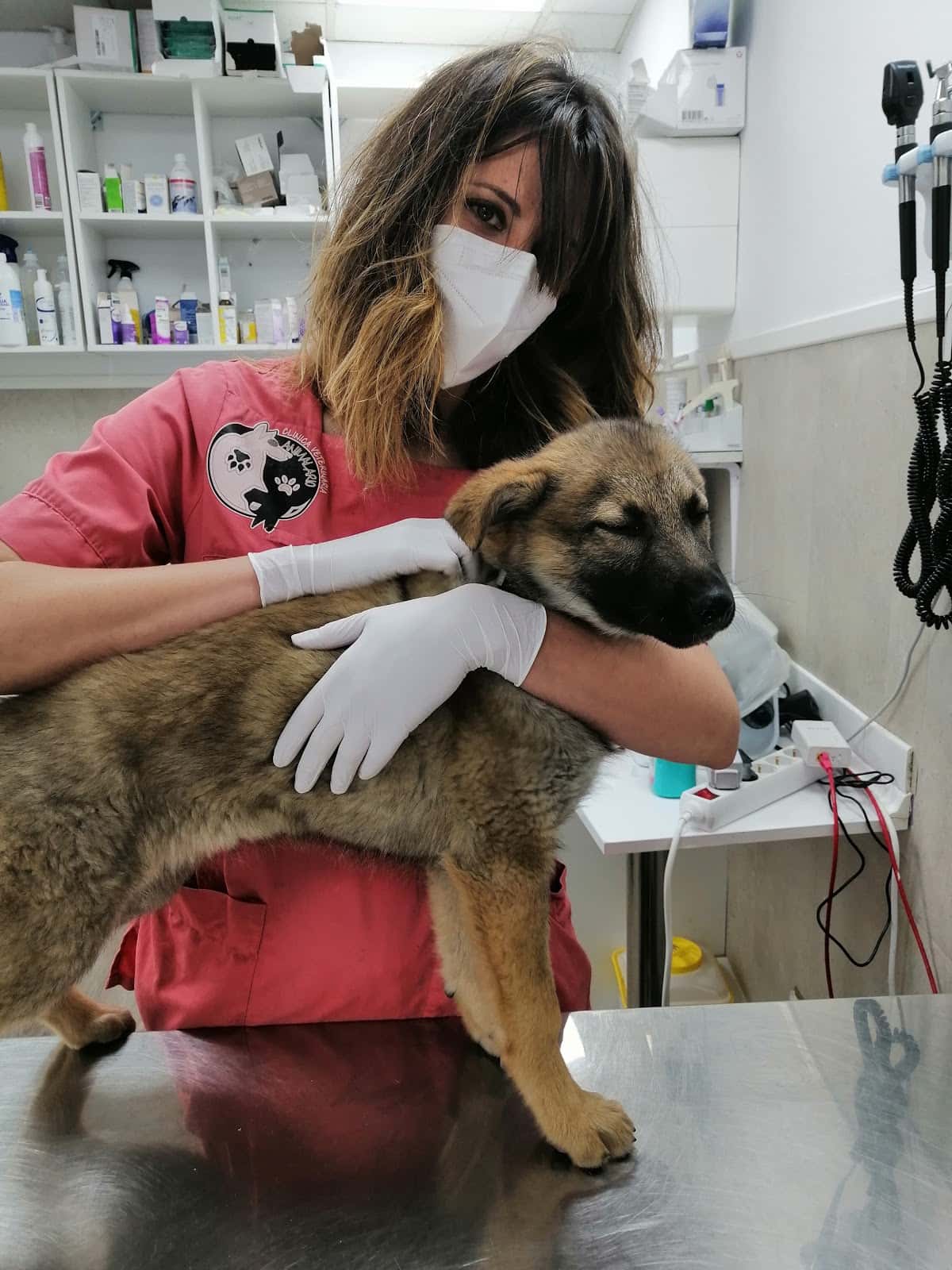 Clínica Veterinaria Animalario