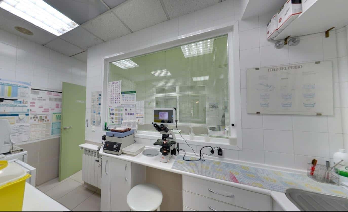Clínica Veterinaria Lobo - Scott URGENCIAS 629251449