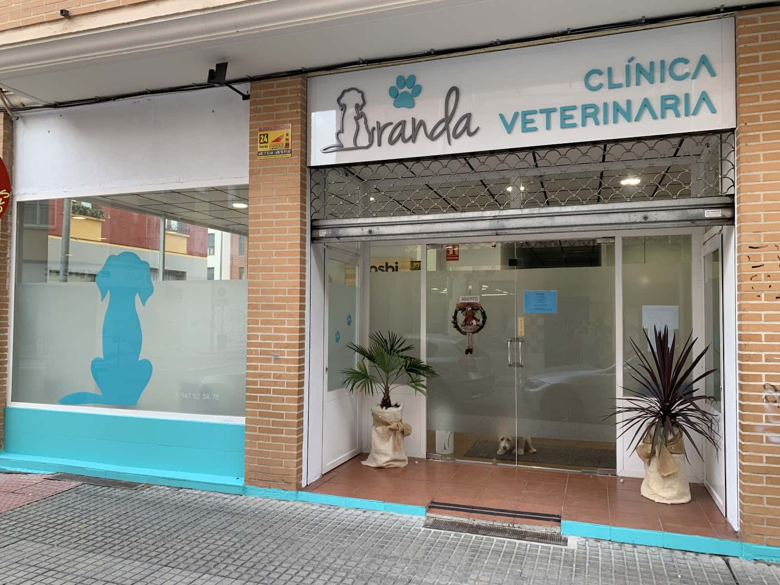 Aranda Clínica Veterinaria