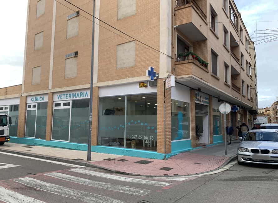 aranda clinica veterinaria veterinario clinica en aranda de duero en burgos principalImage ADOPTA Sitios Pet Friendly