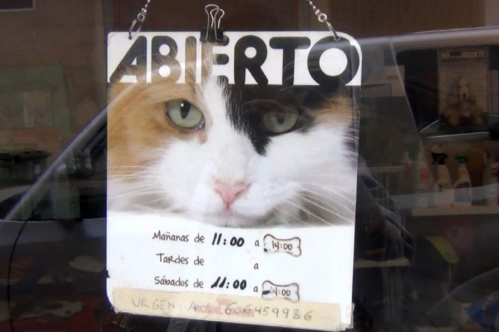 Clinica Veterinaria Trespaderne