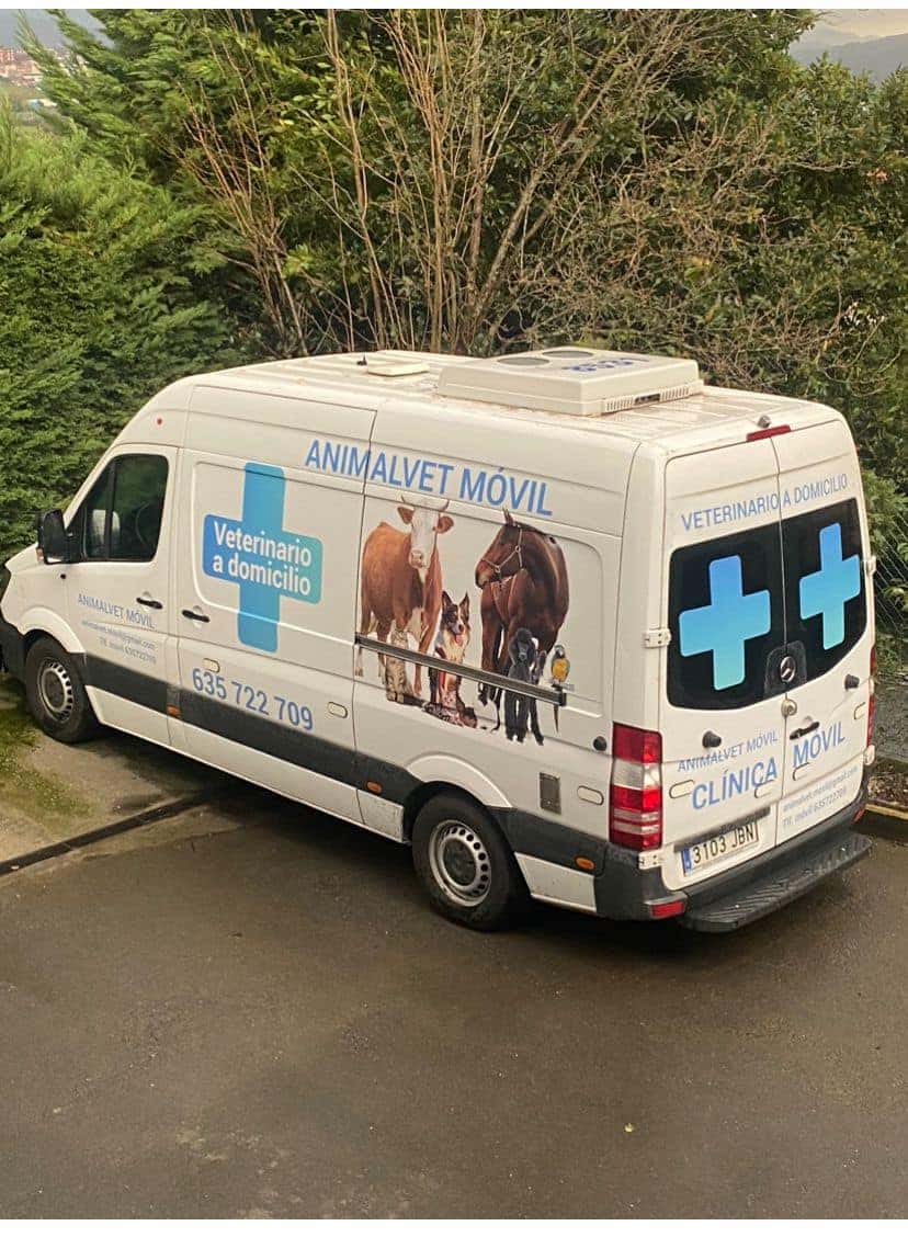 Animalvet Clínica Veterinaria
