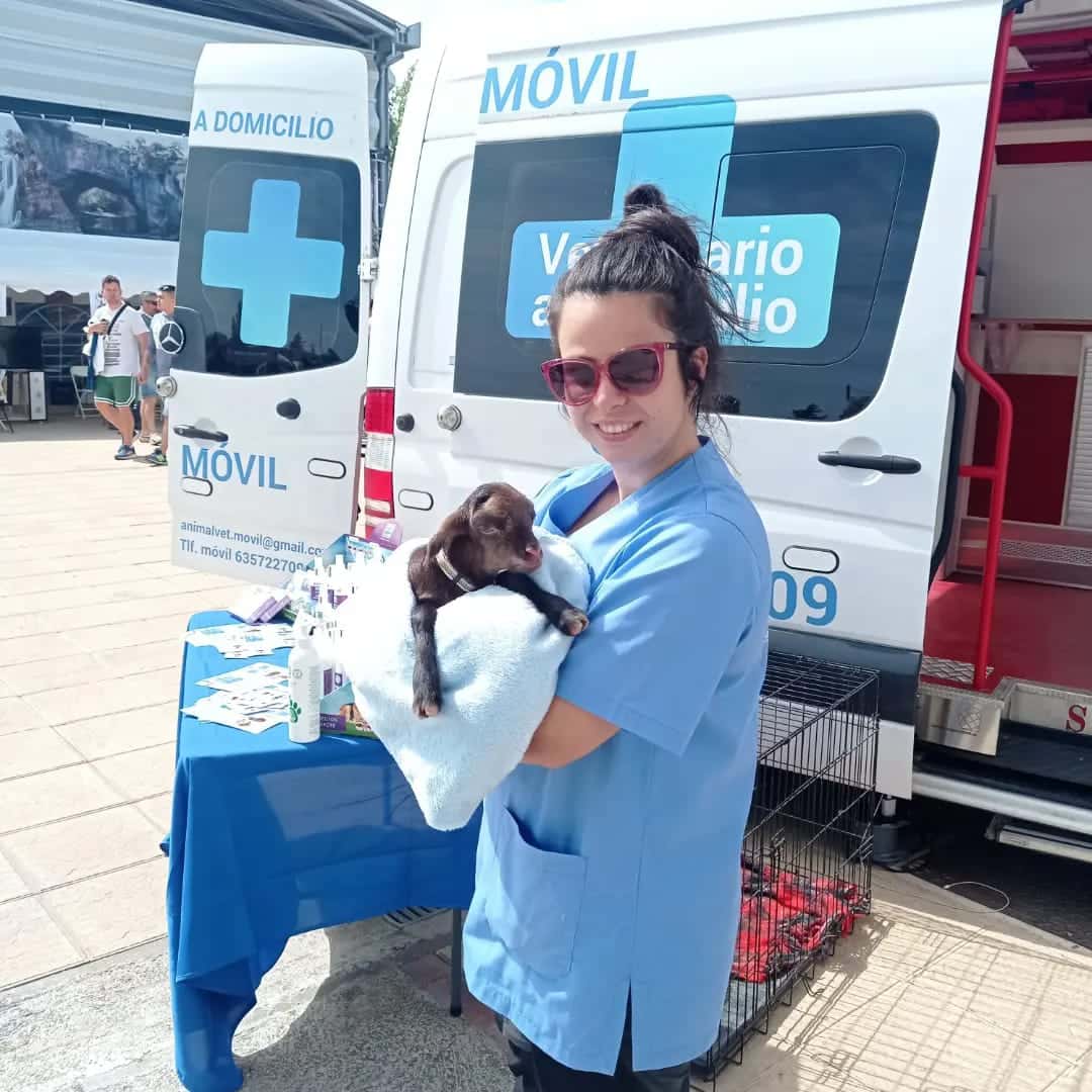 Animalvet Clínica Veterinaria