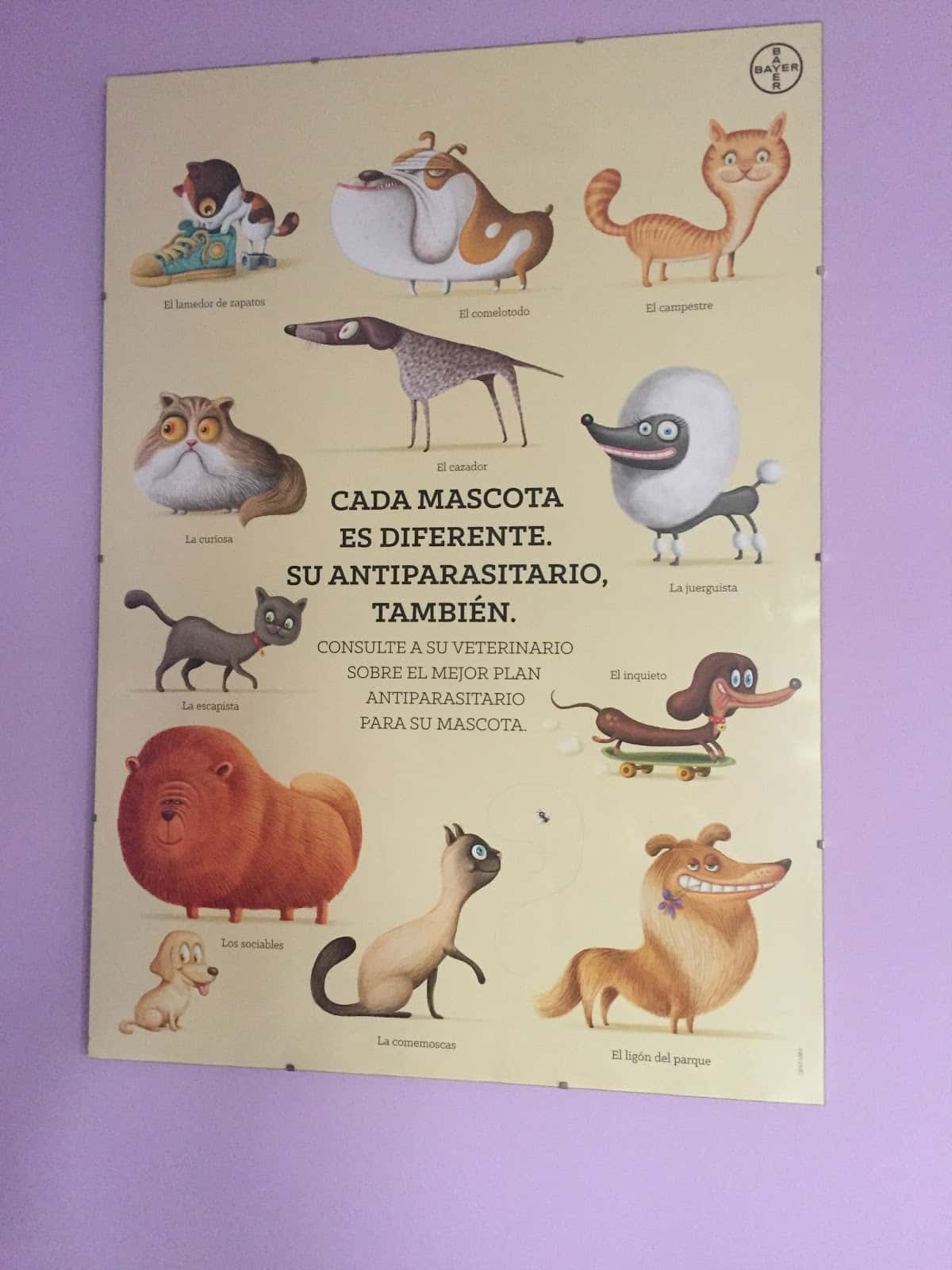 Clínica VETERINARIA Santa Catalina