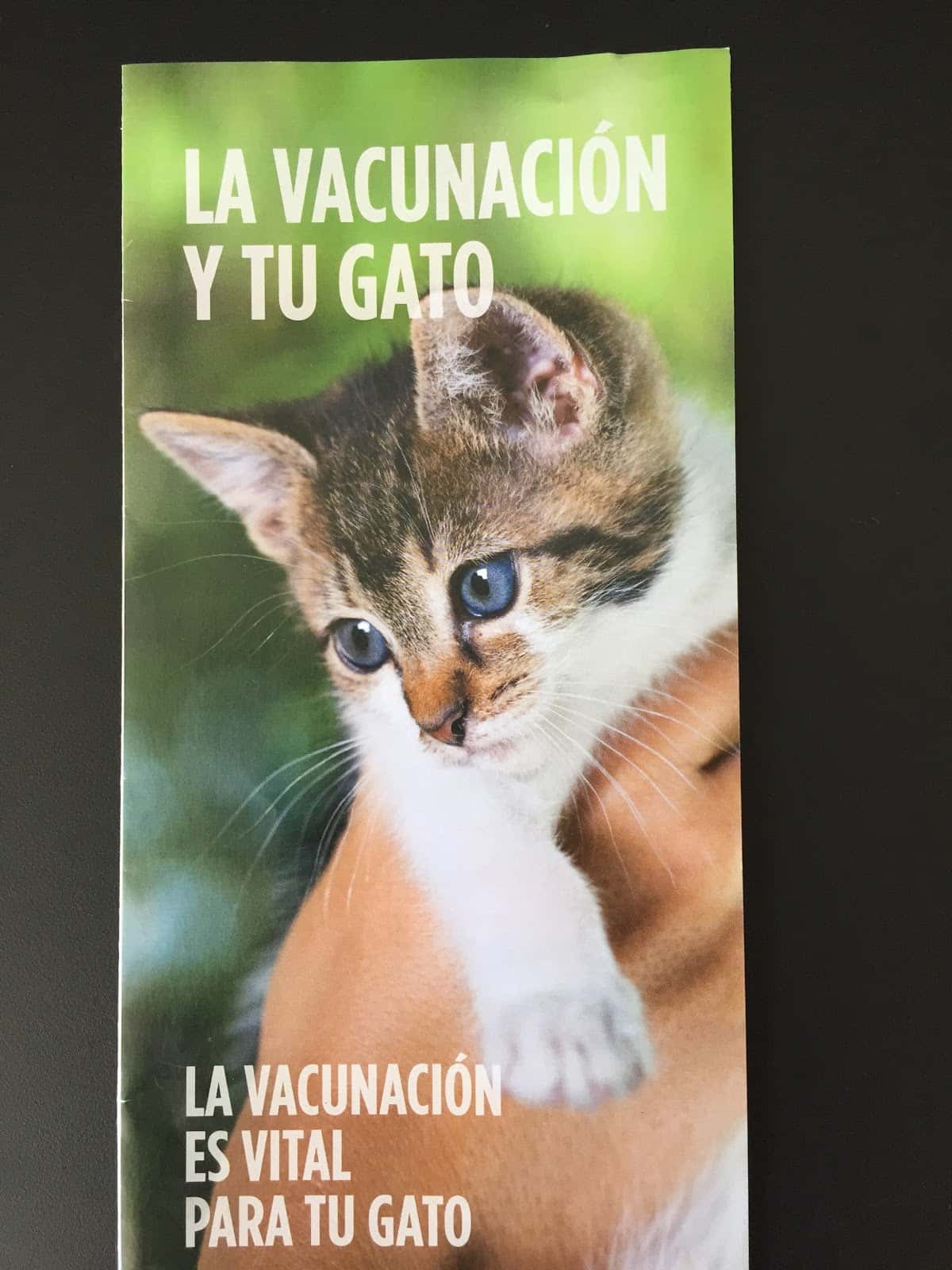 Clínica VETERINARIA Santa Catalina