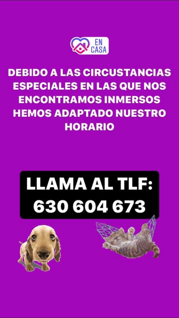 clinica veterinaria santa catalina veterinario clinica en medina de pomar en burgos principalImage ADOPTA Sitios Pet Friendly