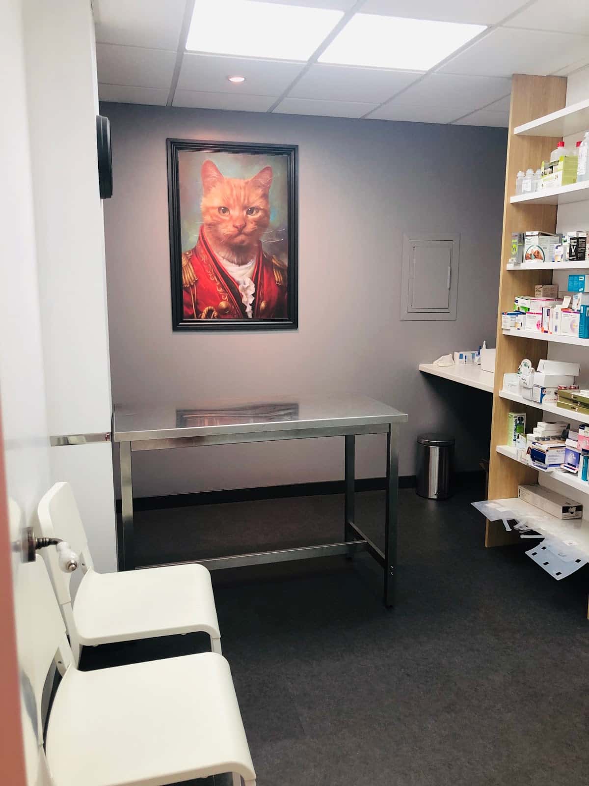 Clinica Veterinaria +cotas