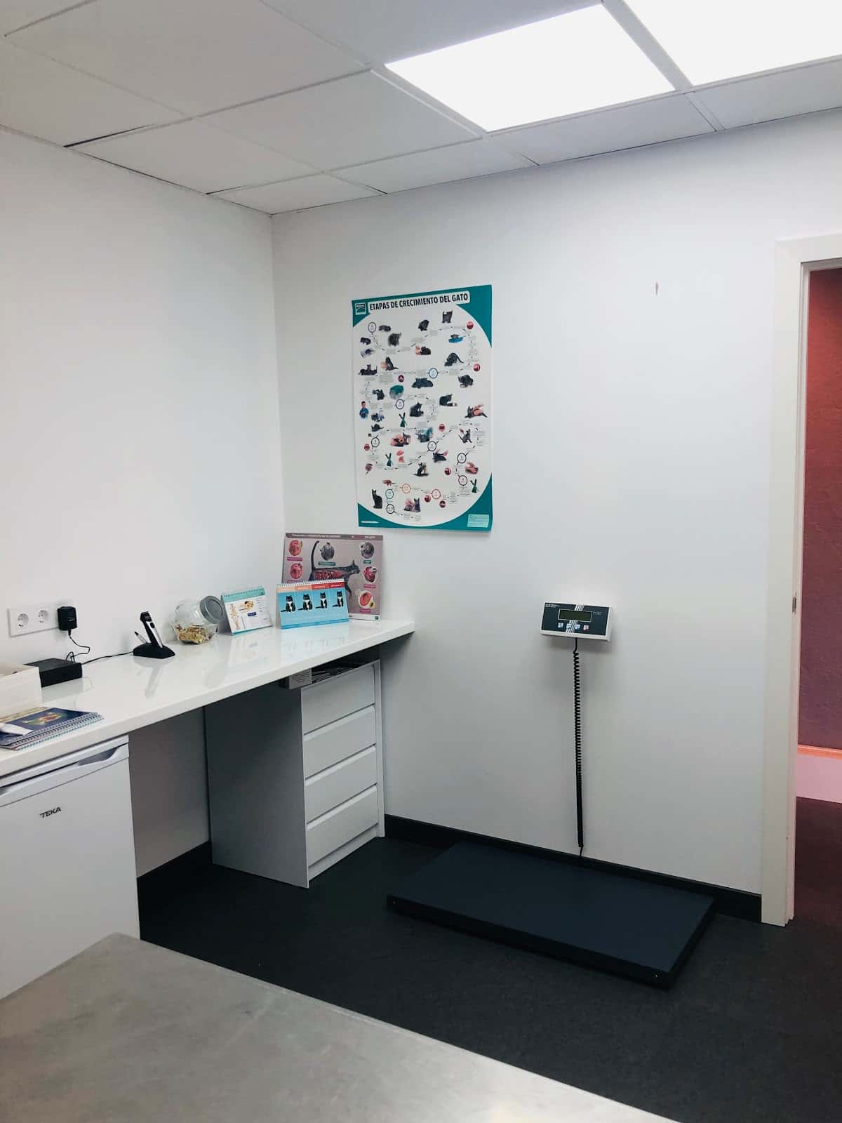 Clinica Veterinaria +cotas
