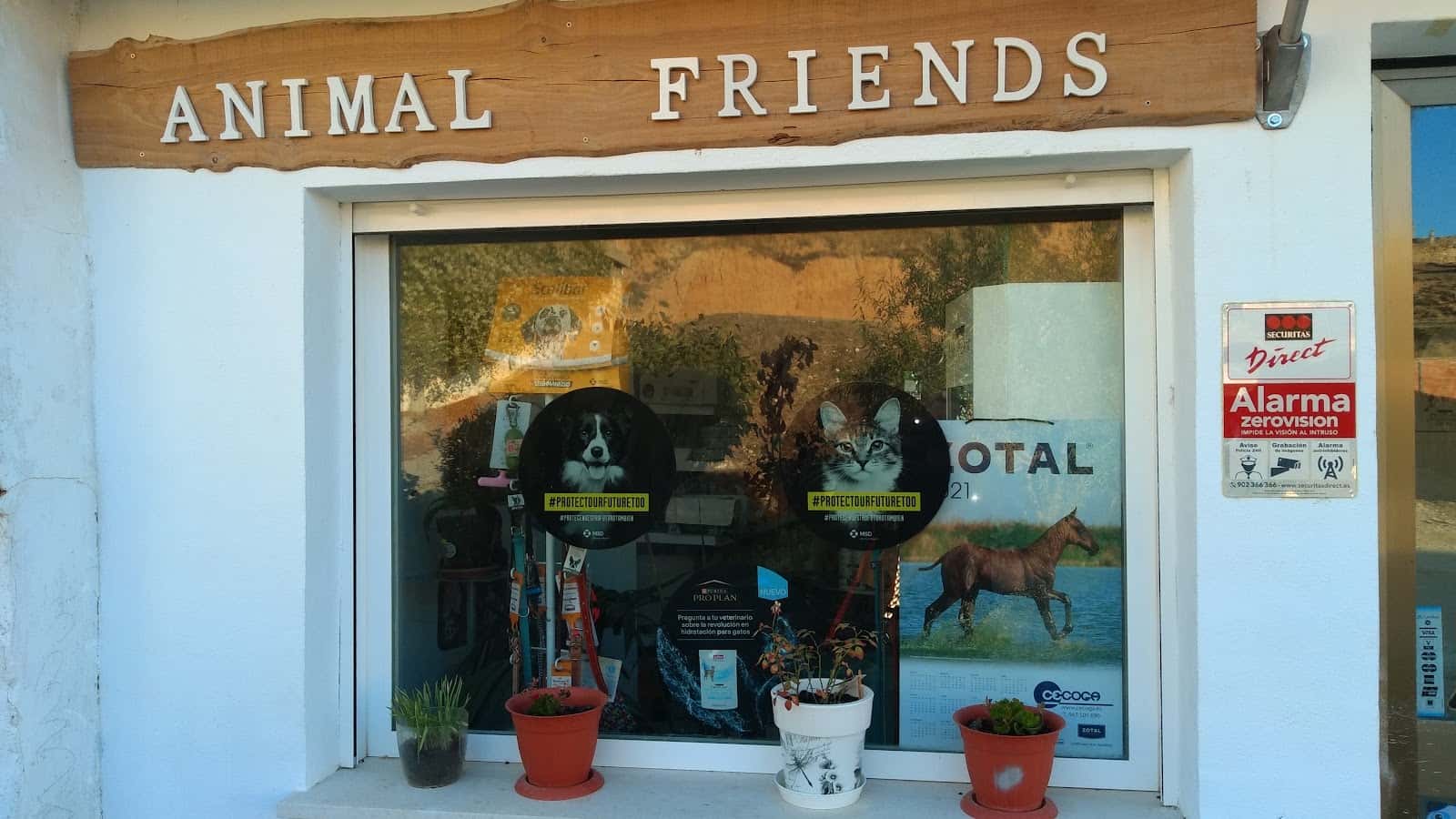 Animal Friends clinica veterinaria