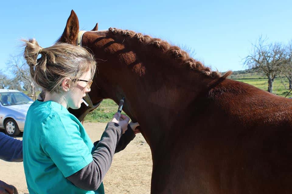 Marta Becerro Servicios Veterinarios
