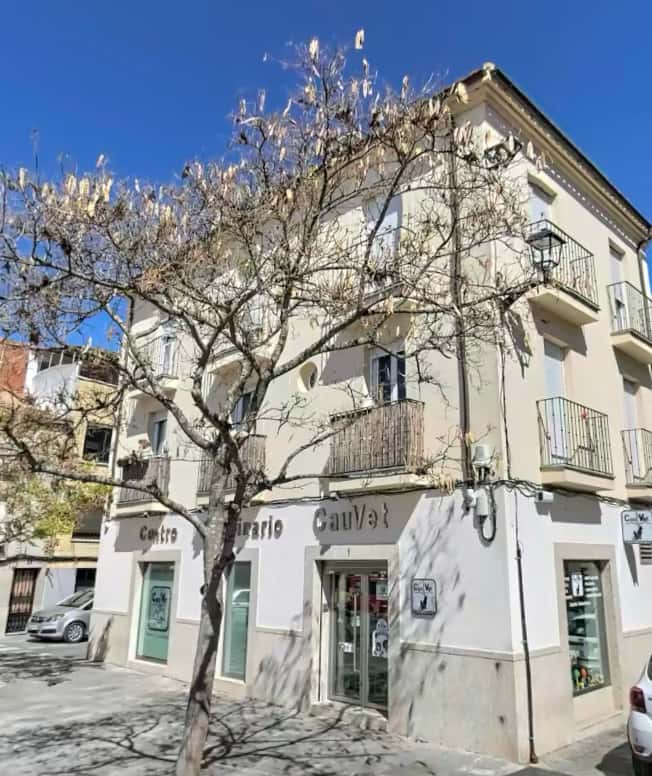Centro Veterinario Cauvet C.B