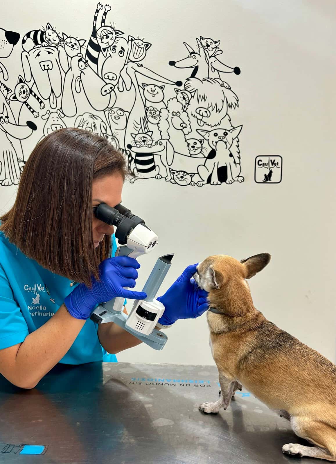 Centro Veterinario Cauvet C.B