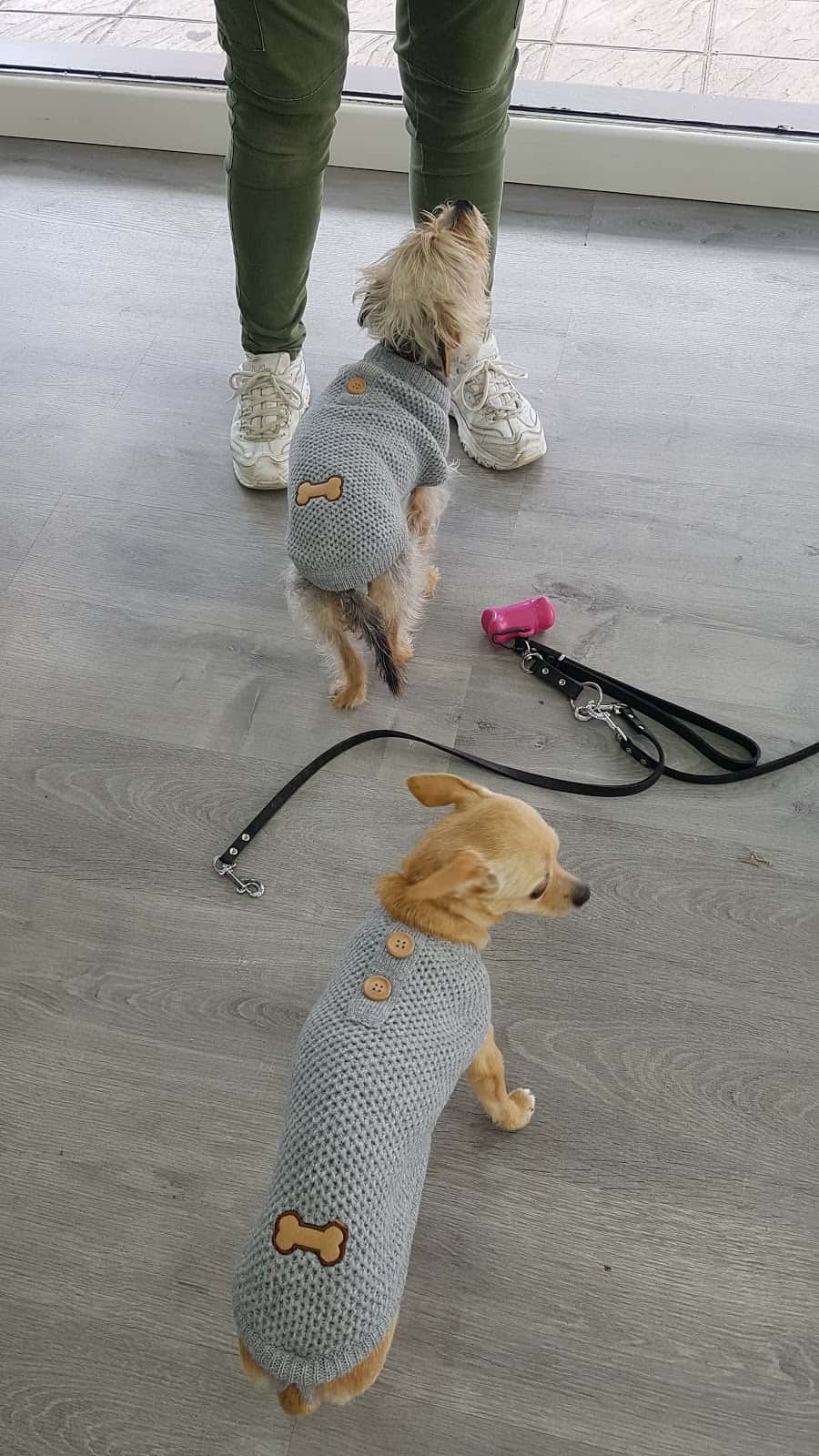 ZooMonteros Veterinarios