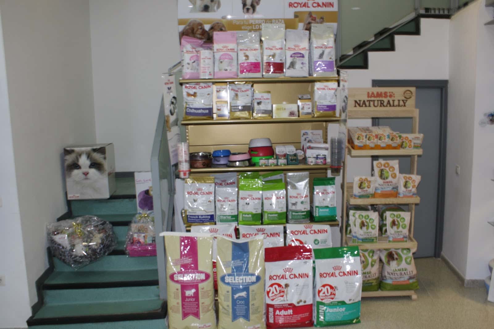 Clinica Centro Veterinario Artemis