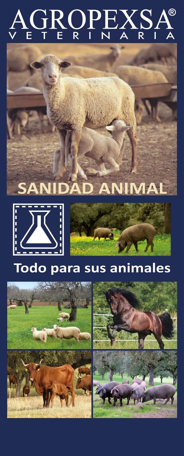 Agropexsa Trujillo