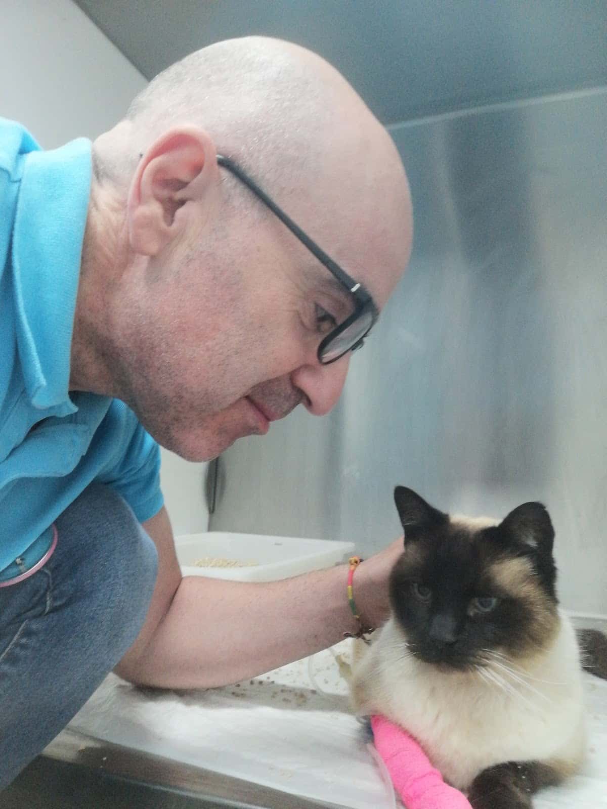 CLINICA VETERINARIA CAMPOAMOR