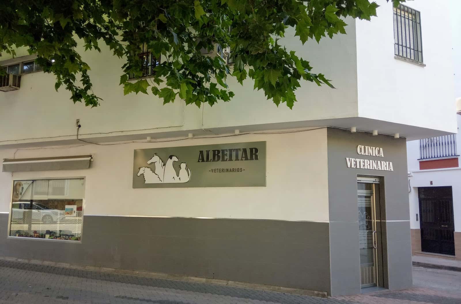 Clínica Veterinaria Albéitar