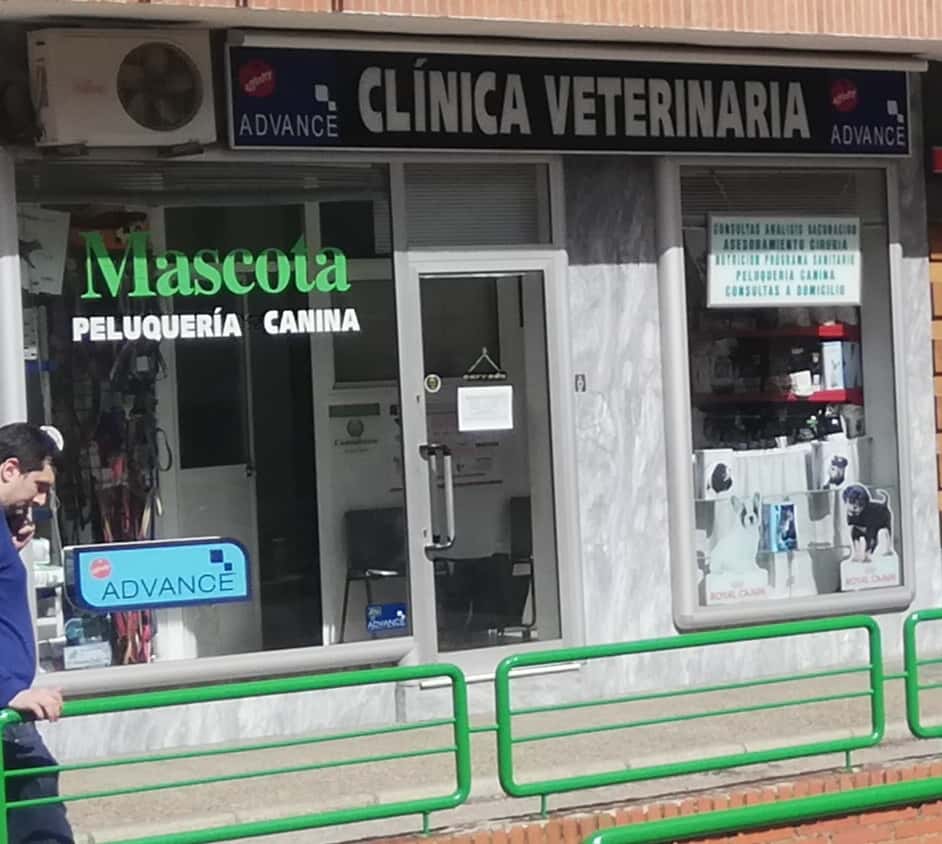 clinica veterinaria mascota veterinario clinica barrio centro casco antiguo en caceres en caceres principalImage ADOPTA Sitios Pet Friendly