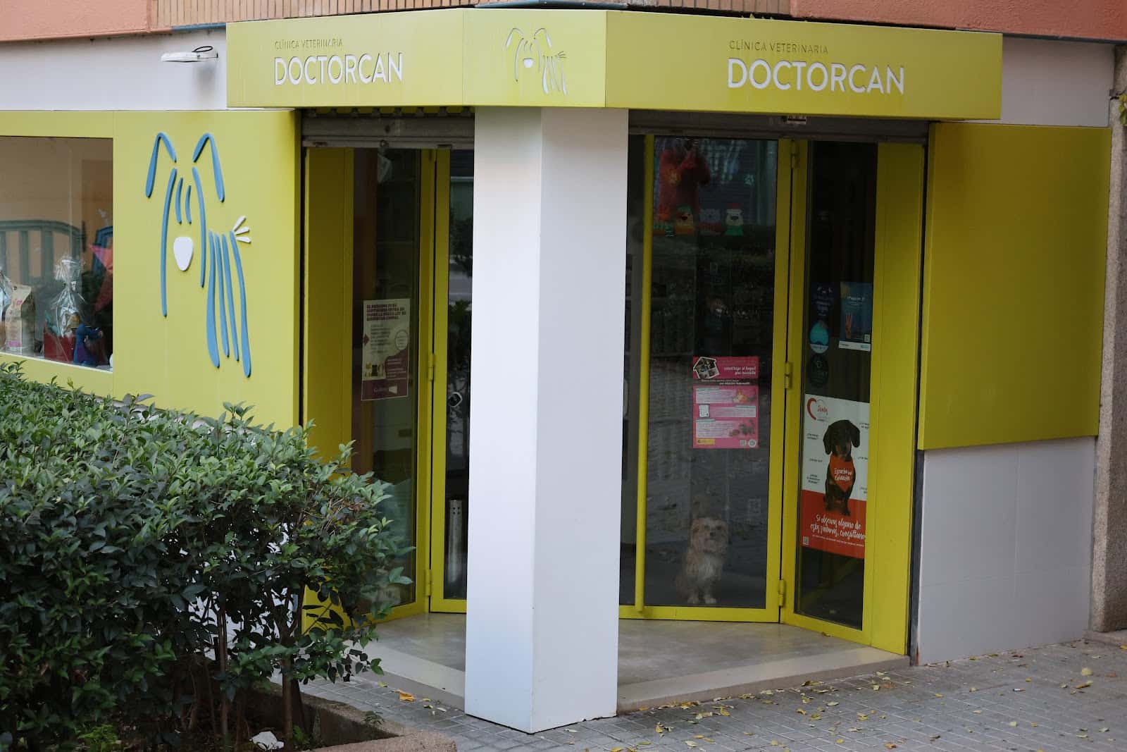 clinica veterinaria doctor can veterinario clinica barrio oeste en caceres en caceres principalImage ADOPTA Sitios Pet Friendly