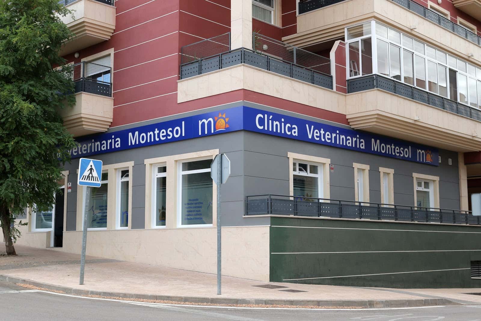 clinica veterinaria montesol veterinario clinica barrio norte en caceres en caceres principalImage ADOPTA Sitios Pet Friendly
