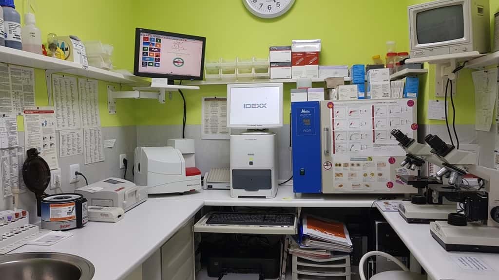 Clínica Veterinaria San Francisco de Asís