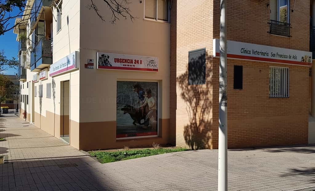 Clínica Veterinaria San Francisco de Asís
