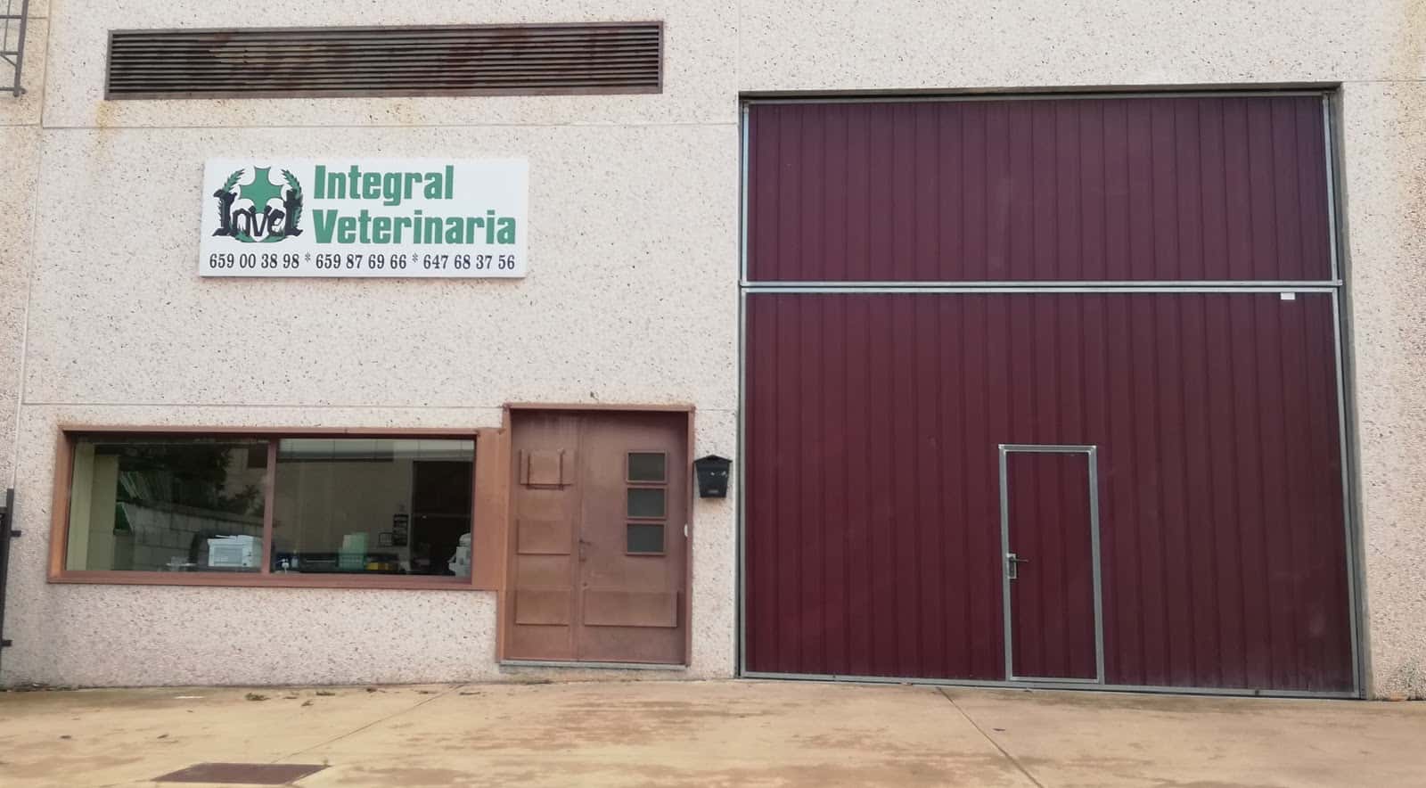invet veterinario centro barrio norte en caceres en caceres principalImage ADOPTA Sitios Pet Friendly