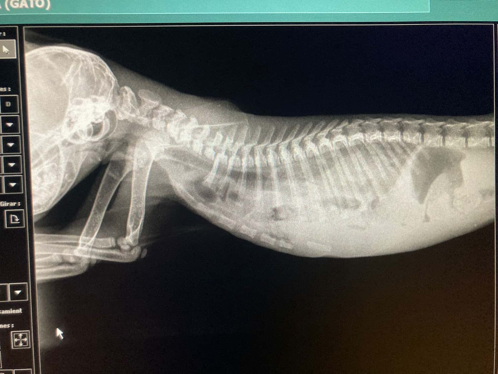 Clínica veterinaria Venalvet