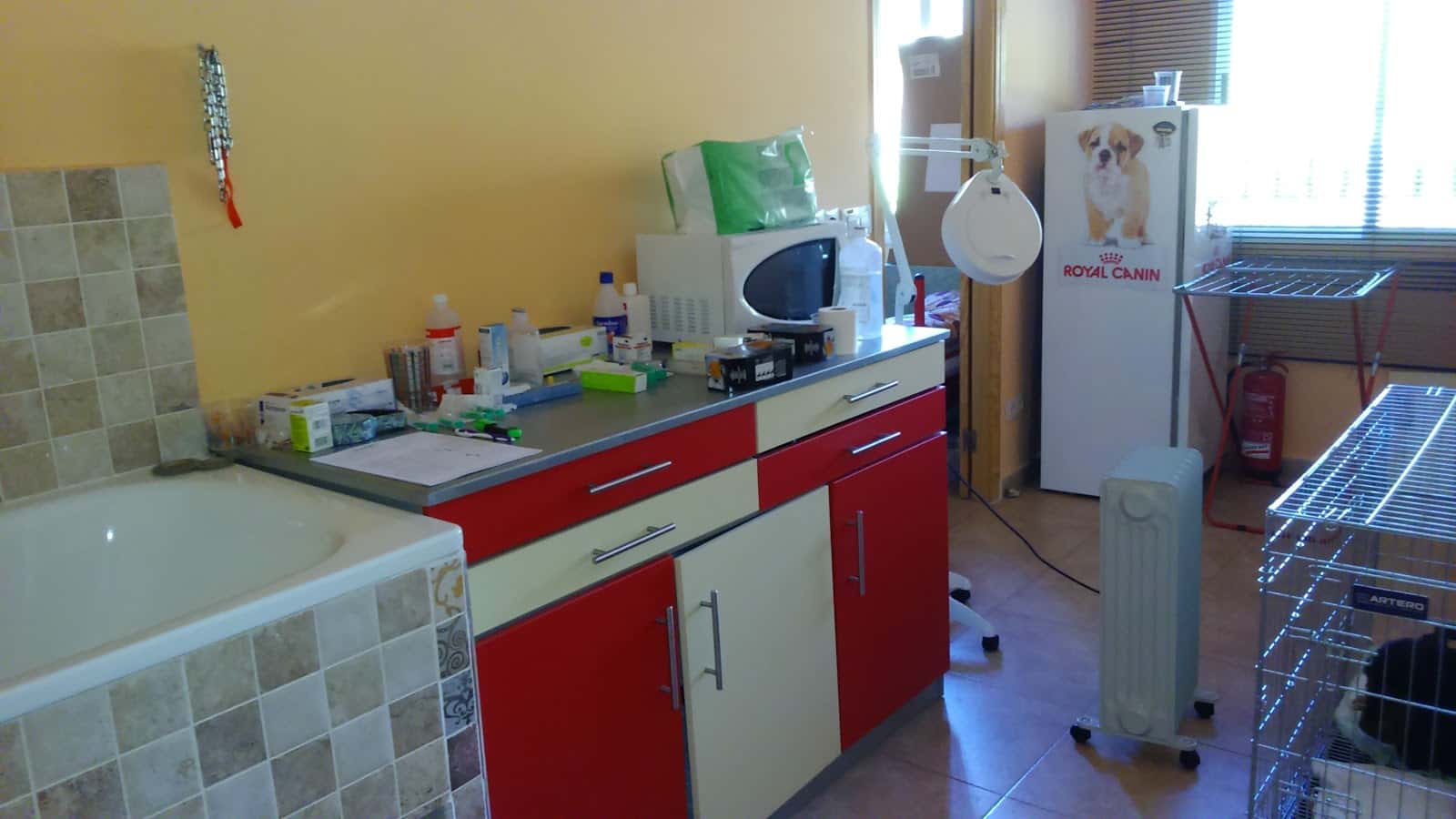 Clinica Veterinaria Huellas. Jarandilla de la Vera