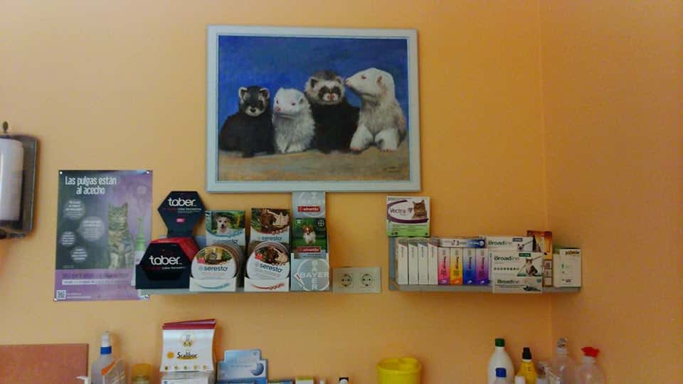 Clinica Veterinaria Huellas. Jarandilla de la Vera