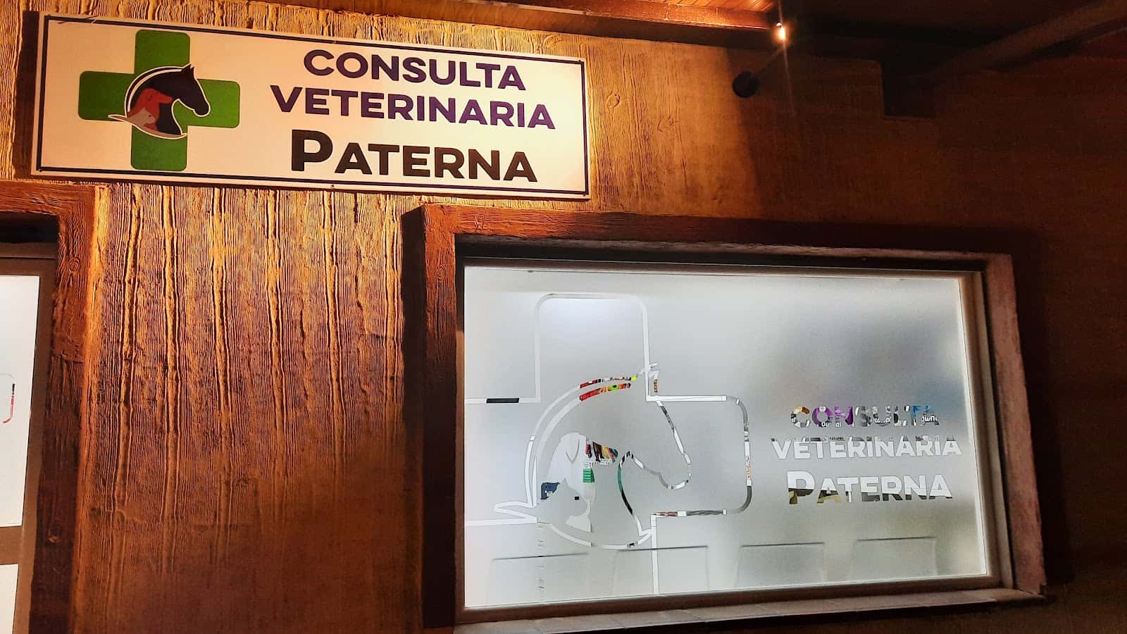 Consulta Veterinaria Paterna