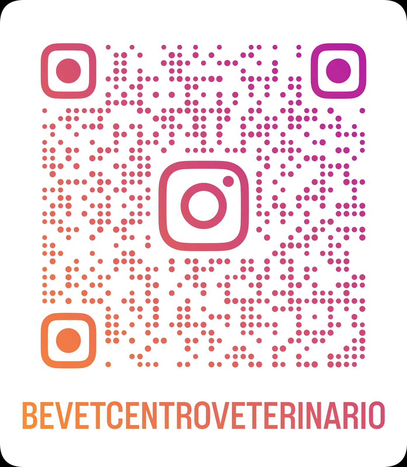 BEVET CENTRO VETERINARIO