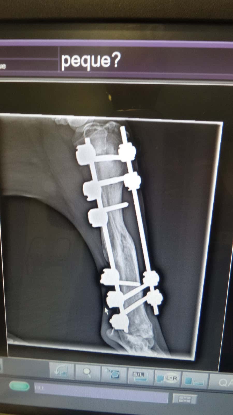 Clinica Veterinaria Benalup