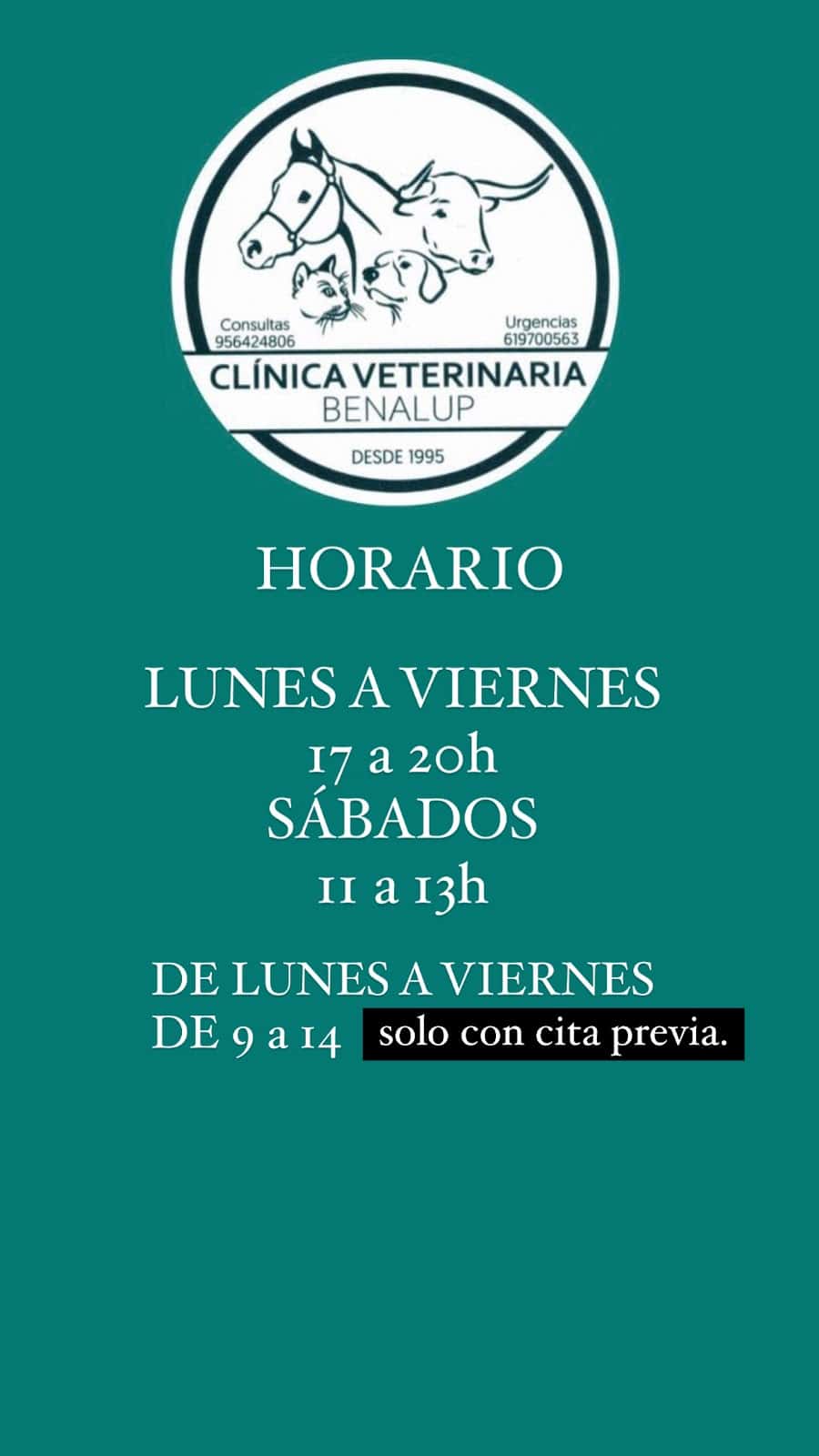 clinica veterinaria benalup veterinario clinica en benalup casas viejas en cadiz principalImage ADOPTA Sitios Pet Friendly