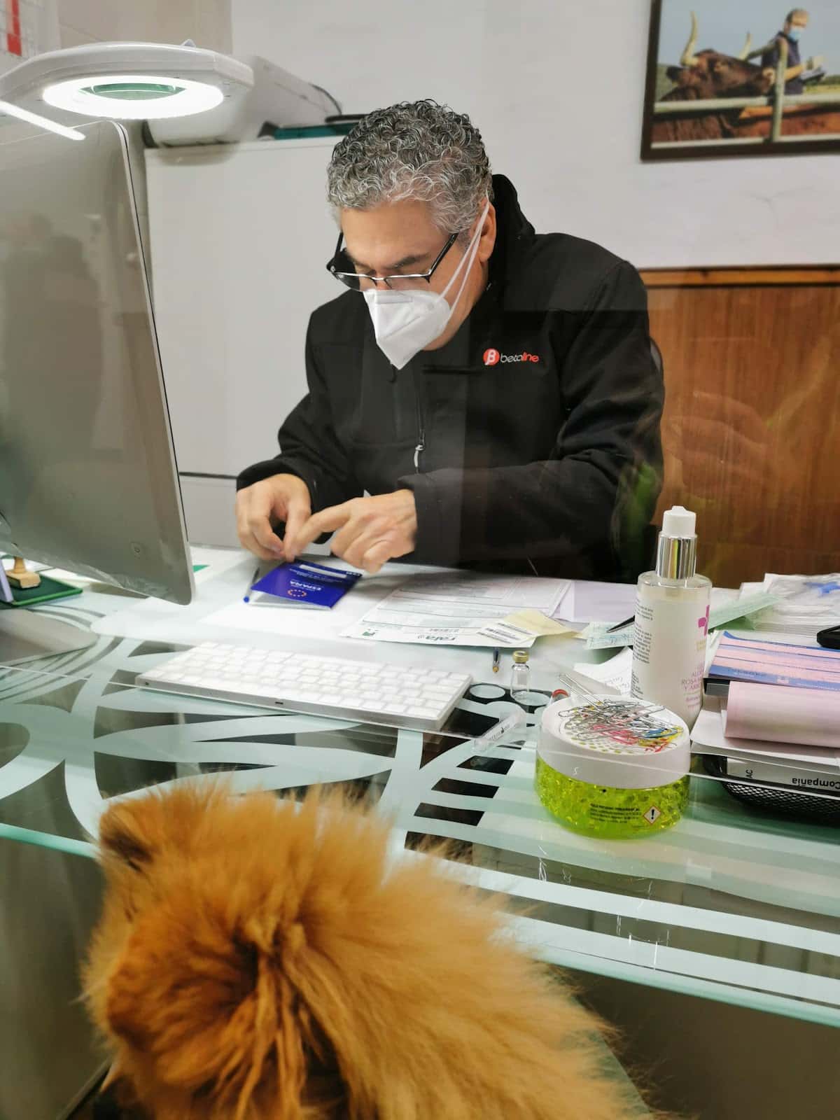 GALVET VETERINARIOS