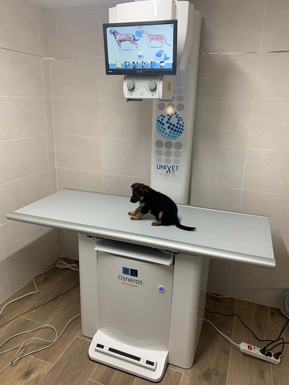 GALVET VETERINARIOS