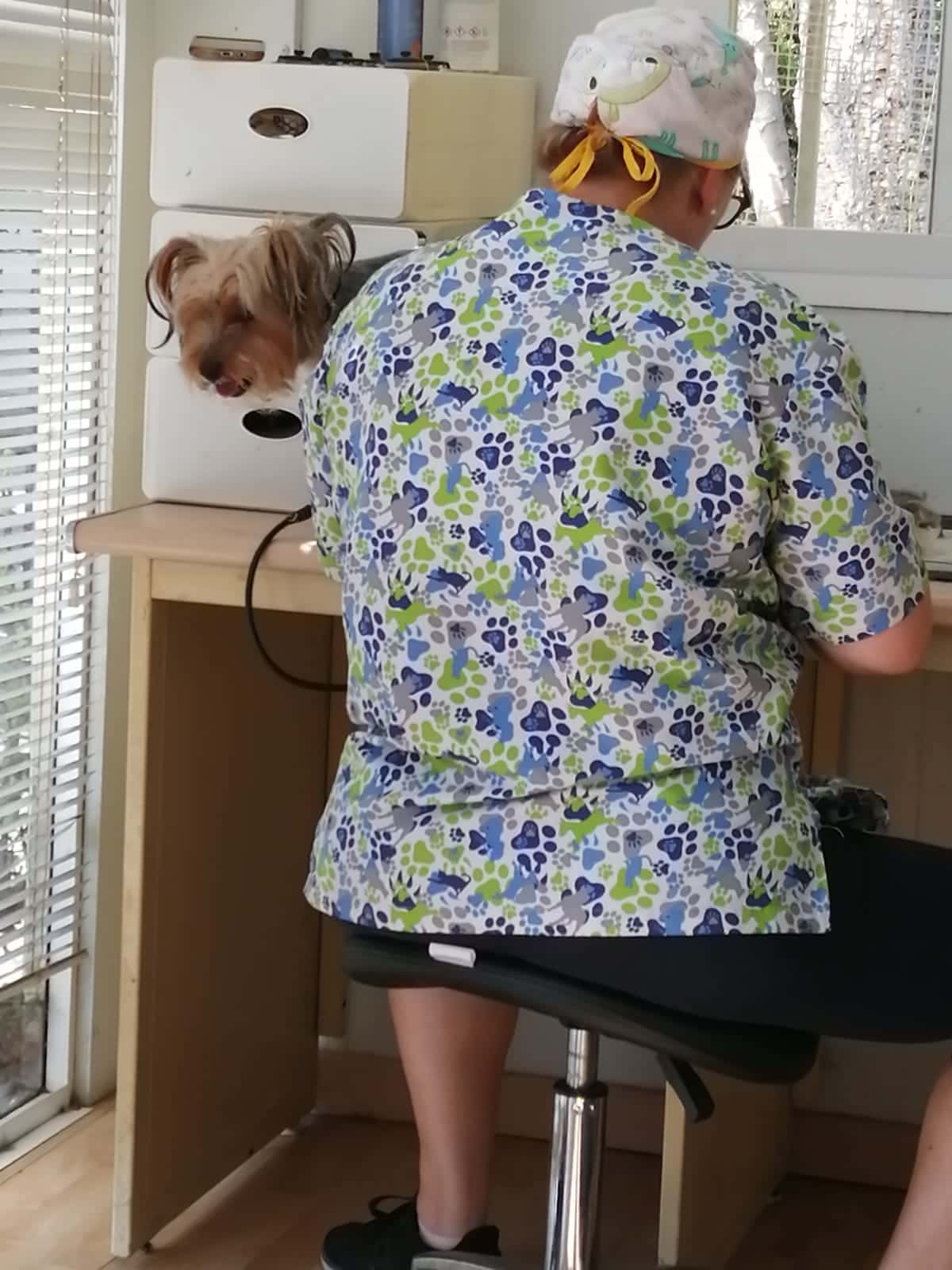 clinica veterinaria guadacorte veterinario clinica en guadacorte en cadiz principalImage ADOPTA Sitios Pet Friendly