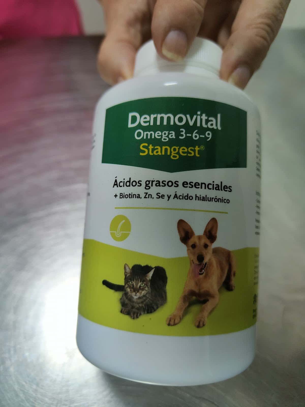 clinica veterinaria isla verde veterinario clinica en algeciras en cadiz principalImage ADOPTA Sitios Pet Friendly