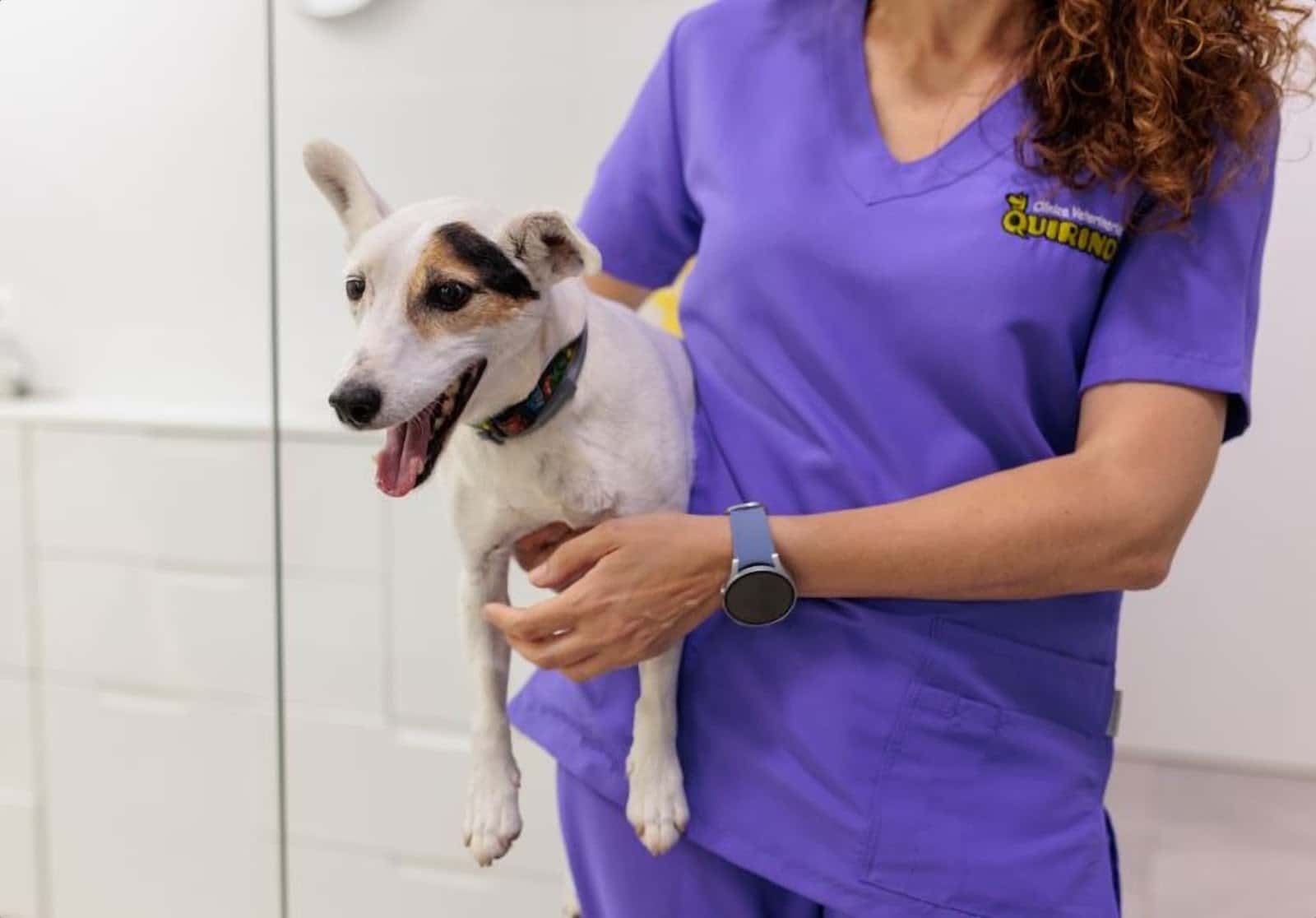 Clínica Veterinaria Quirino