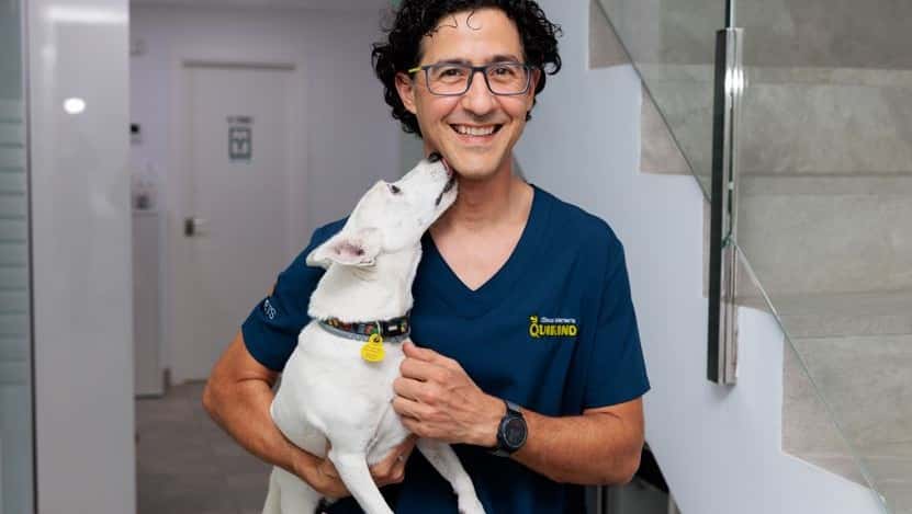 clinica veterinaria quirino veterinario clinica en la linea de la concepcion en cadiz principalImage ADOPTA Sitios Pet Friendly