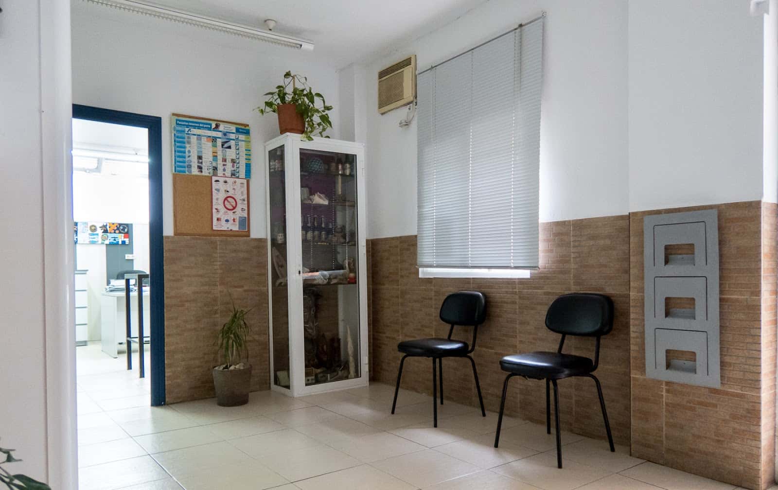 clinica veterinaria sotovett veterinario clinica en algeciras en cadiz principalImage ADOPTA Sitios Pet Friendly