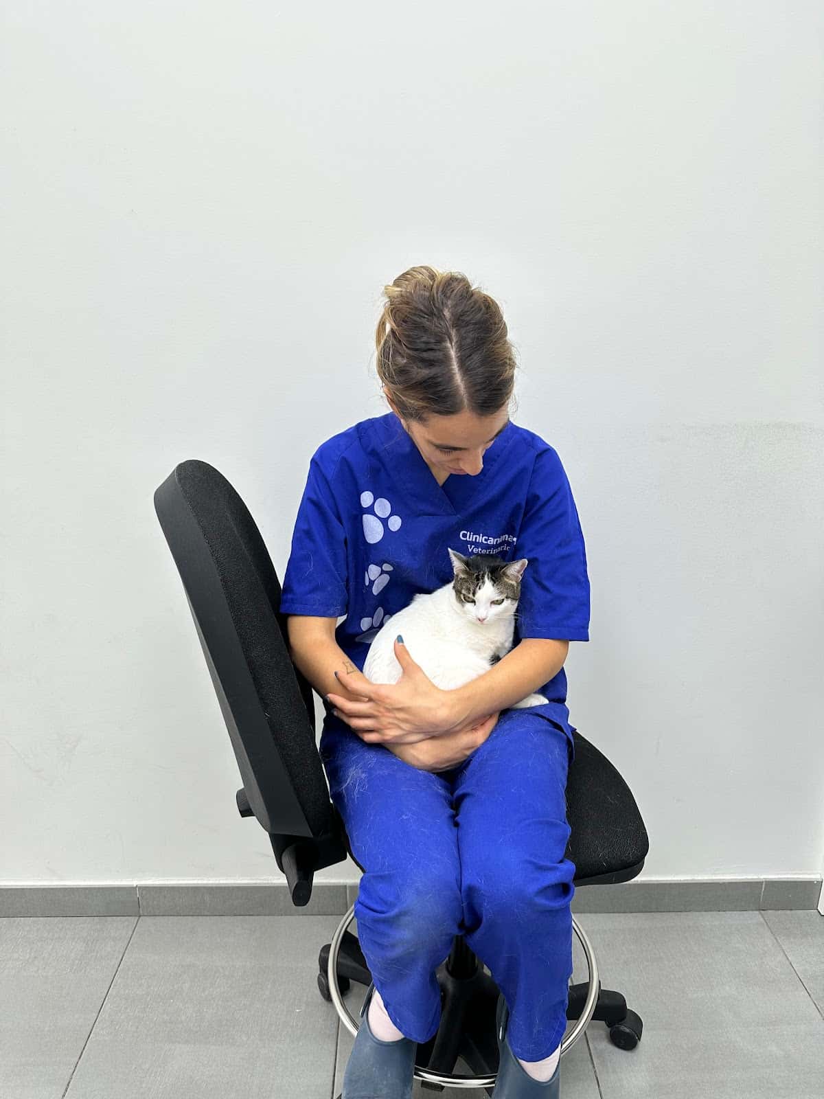 clinicanimal veterinario clinica en los barrios en cadiz principalImage ADOPTA Sitios Pet Friendly