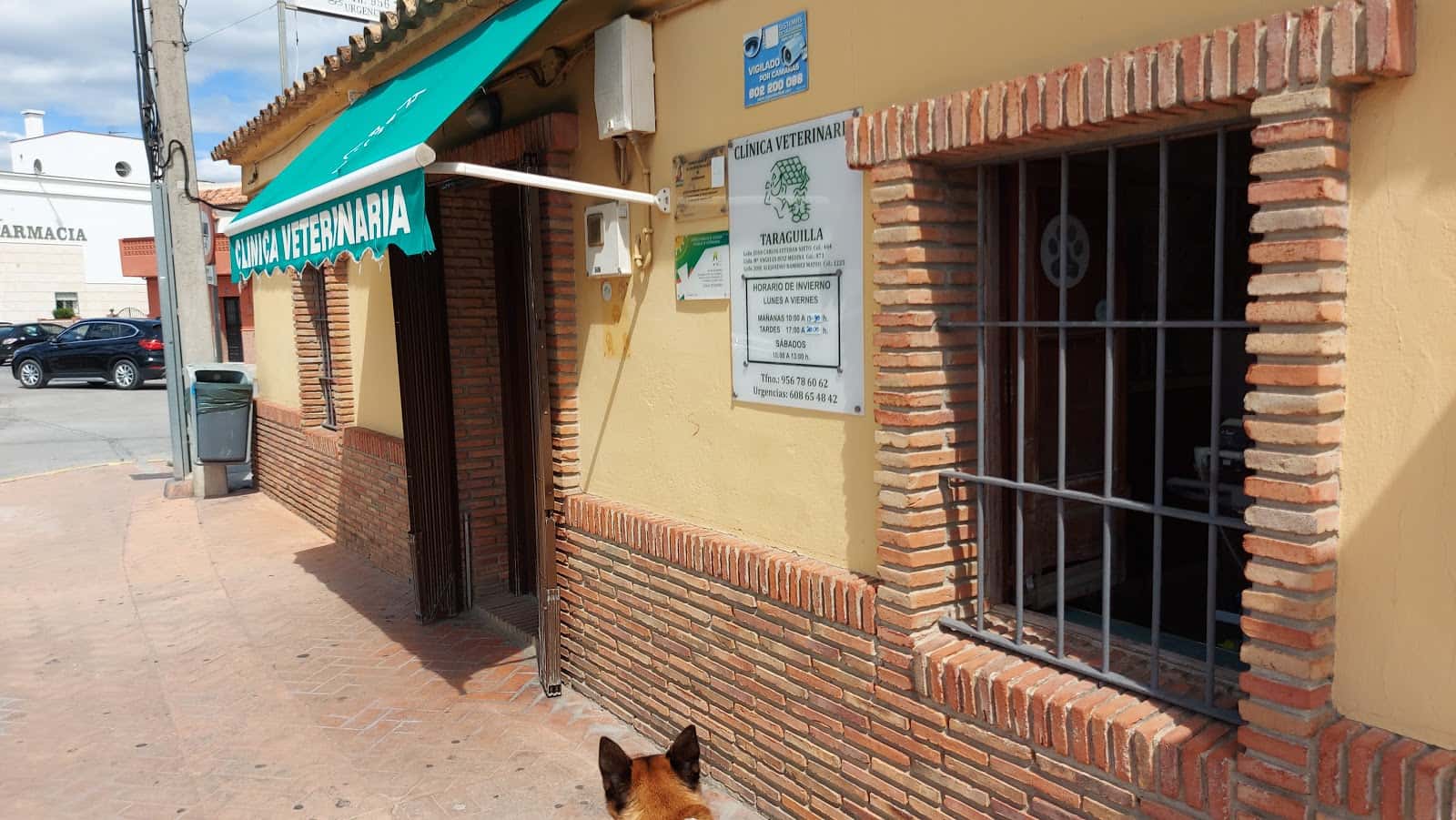 Clínica Veterinaria Taraguilla