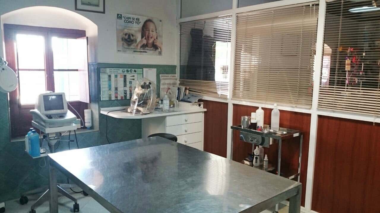 Clínica Veterinaria Taraguilla