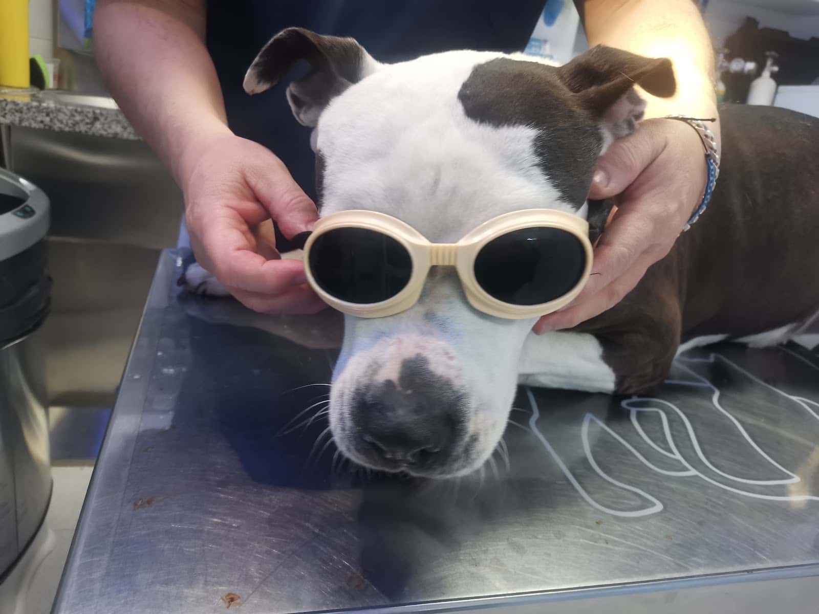 Clínica Veterinaria El Estrecho