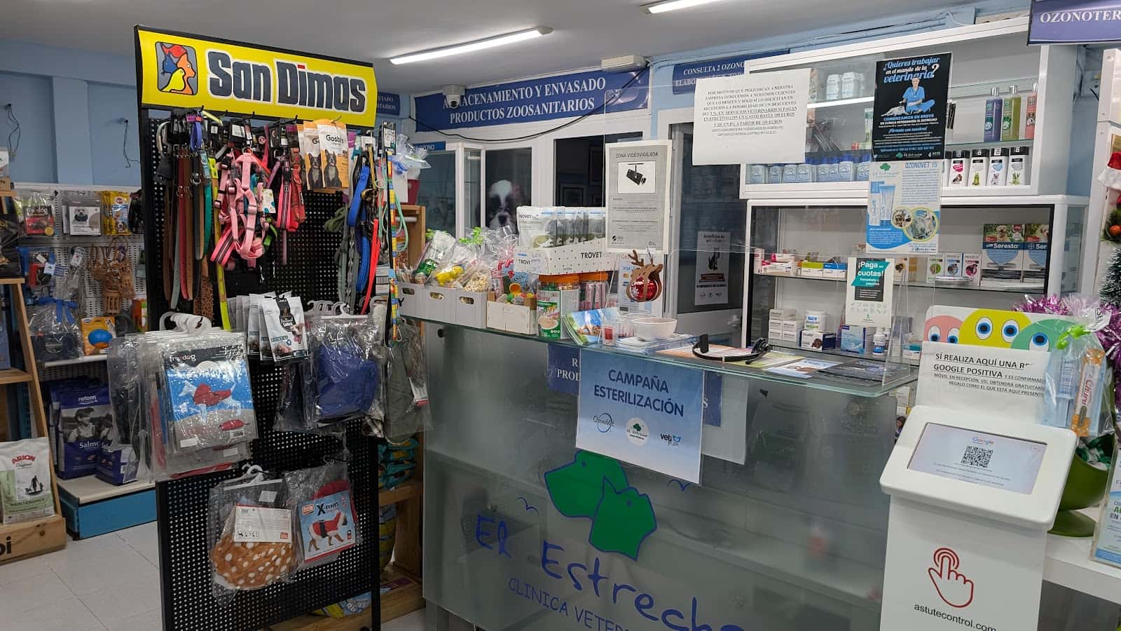 clinica veterinaria el estrecho veterinario clinica en algeciras en cadiz principalImage ADOPTA Sitios Pet Friendly
