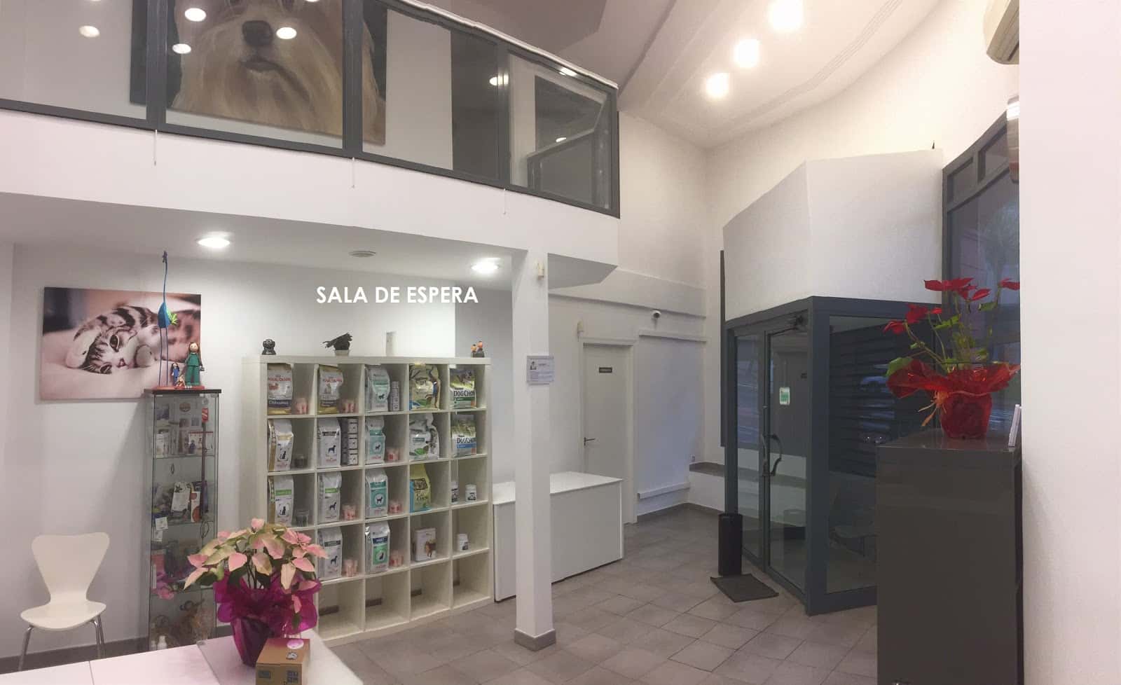 Clínica Veterinaria Campo de Gibraltar