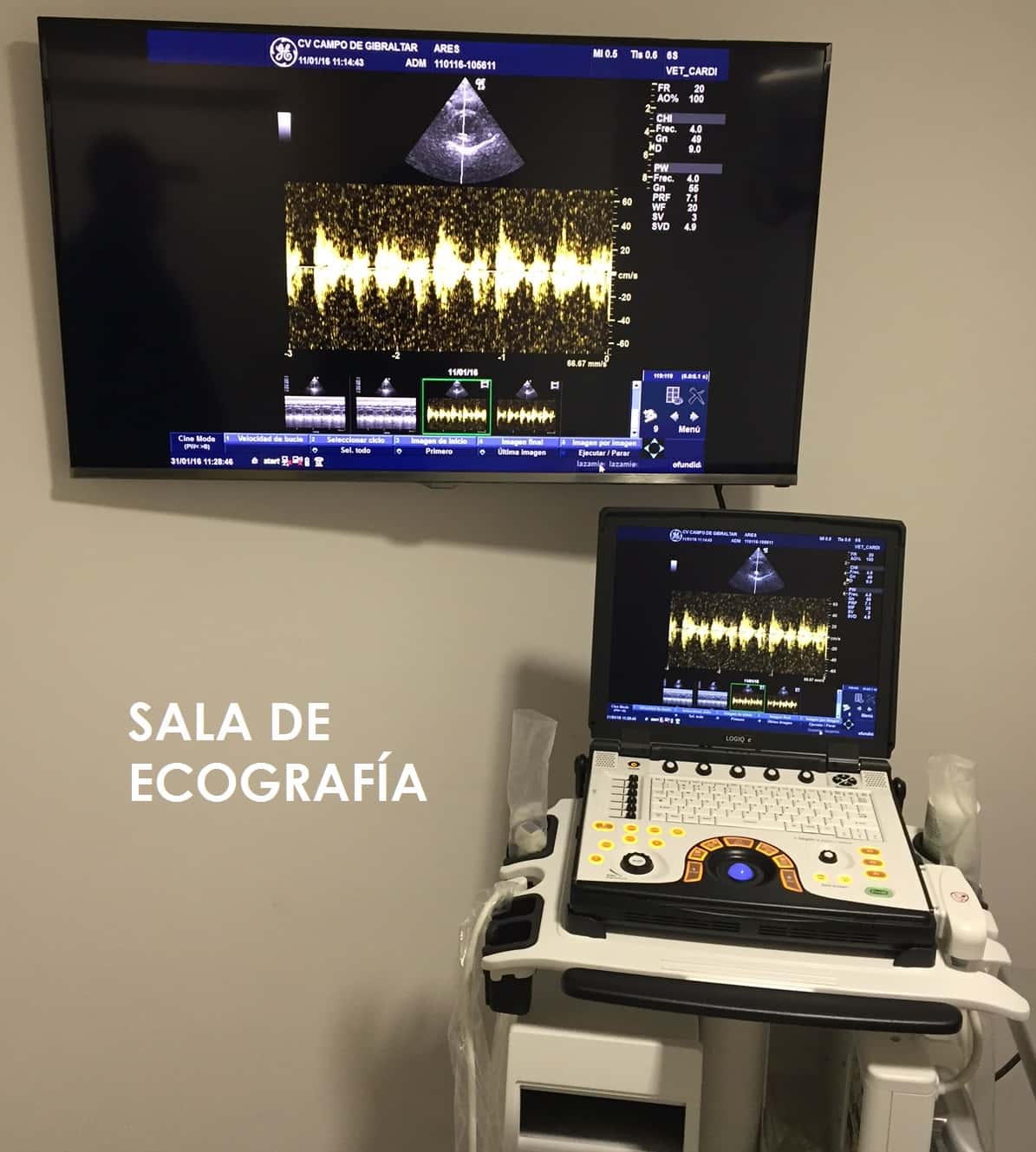 Clínica Veterinaria Campo de Gibraltar